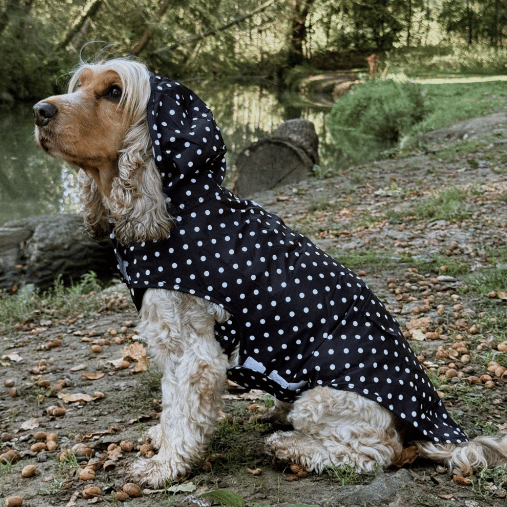 Thumbnail: Dog raincoat Image 1