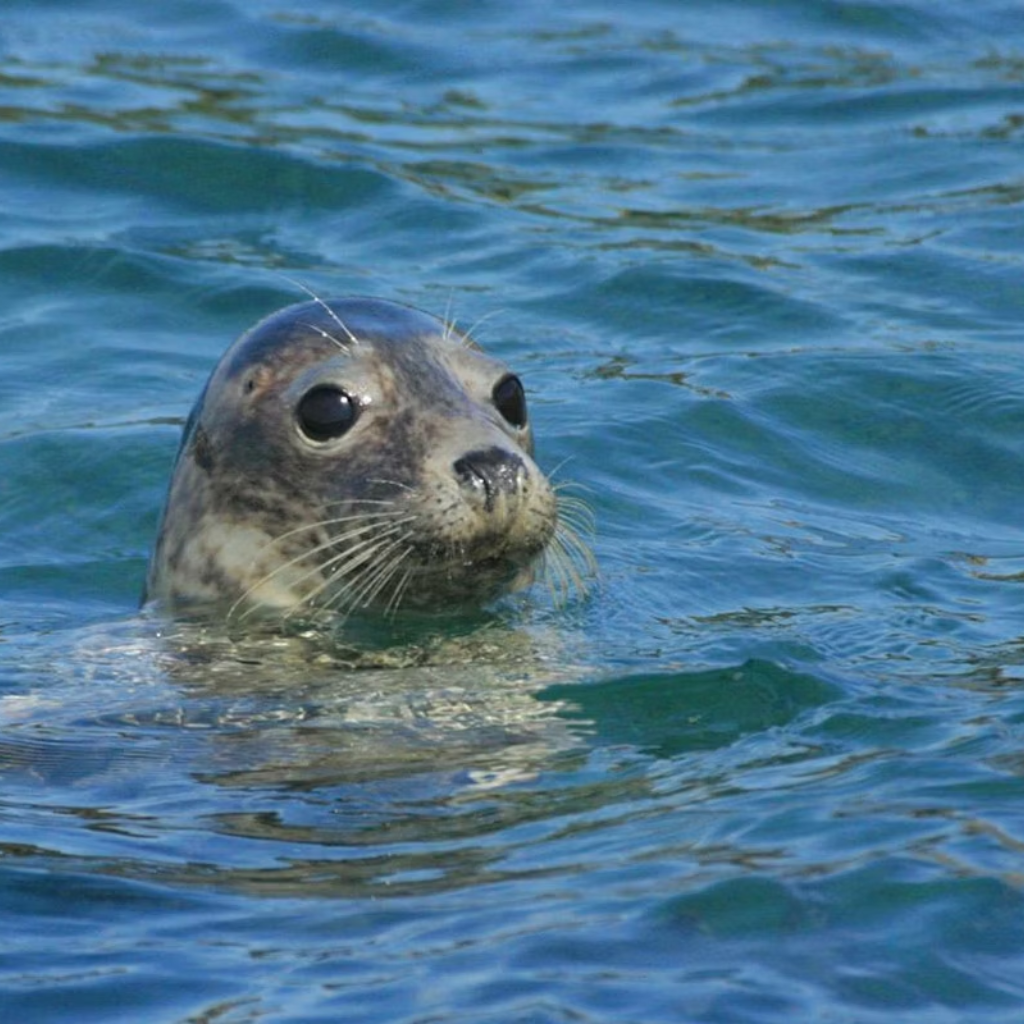 Thumbnail: Choice of 110+ Experiences Image 6