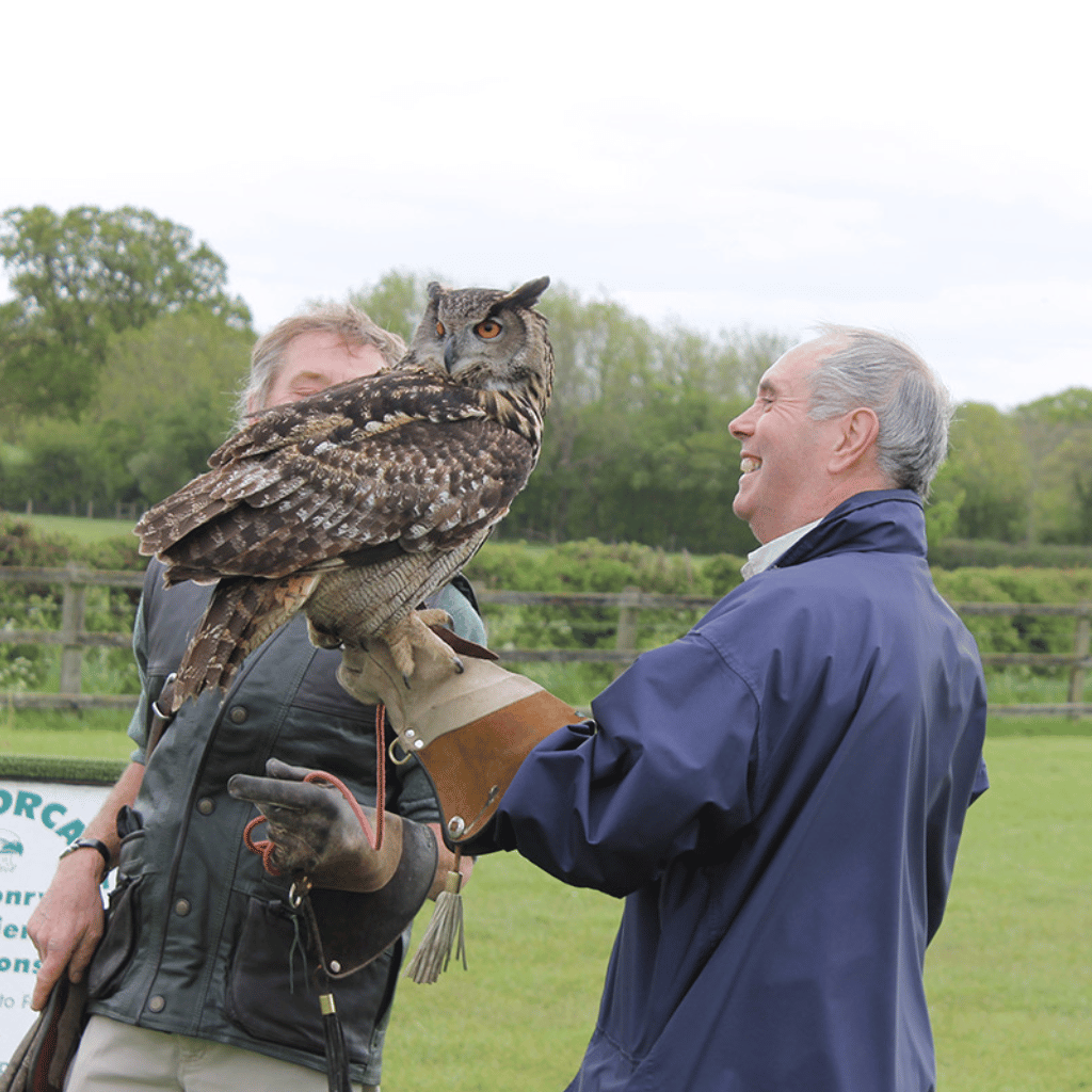Thumbnail: Falconry Taster Image 2