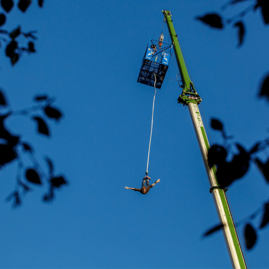 Thumbnail: Bungee Jump for One Image 2